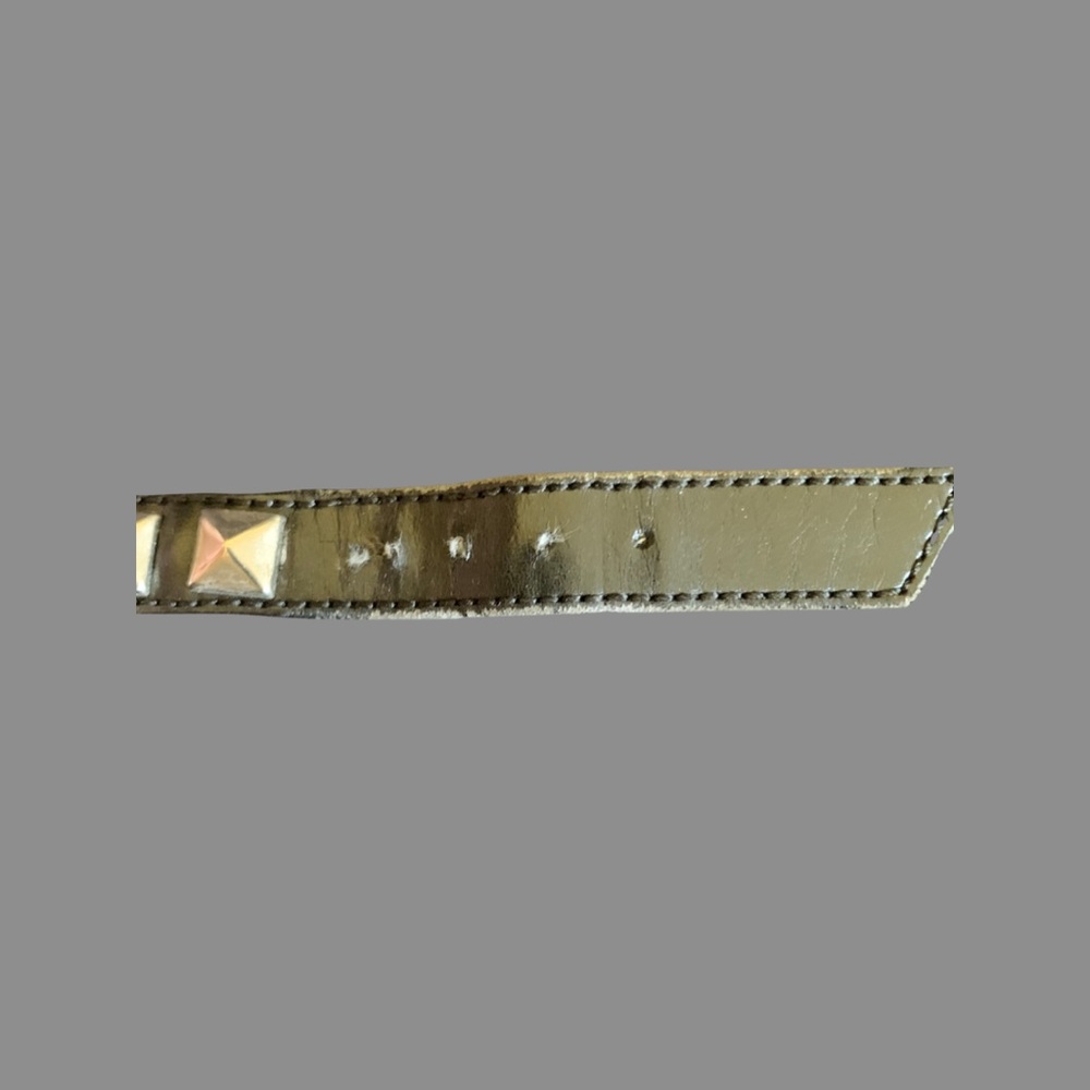 Studded - Picture 3 of 4